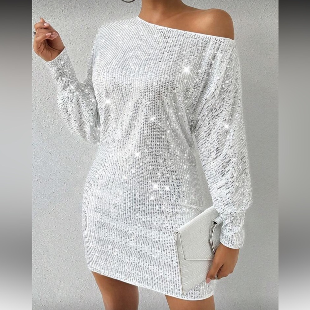 Elegant Silver Sequin Dress